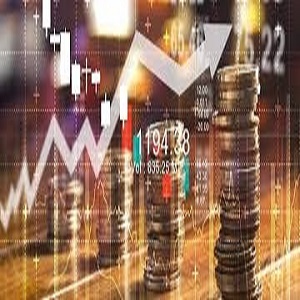 Kurumsal Emeklilik Katılımcısı